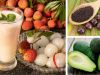 4 fruits et boissons des tropiques qui accélèrent votre métabolisme