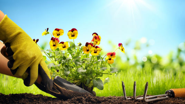 5 raisons pour lesquelles tout le monde a besoin d’un jardin