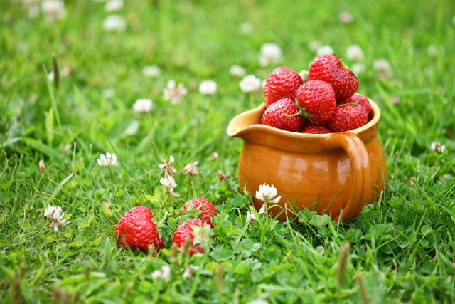 7 fruits et légumes de printemps à ne pas manquer !