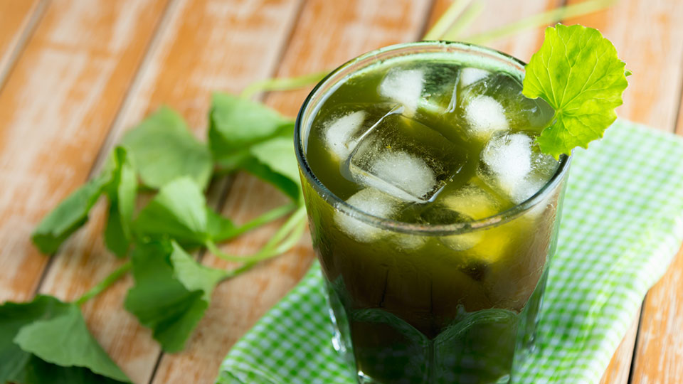 La Centella asiatica, cette super herbe anti vieillissement, pourrait devenir la prochaine grande tendance dans le monde de la beauté